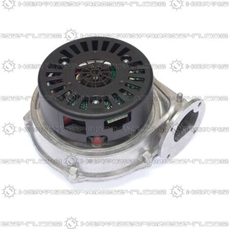Glowworm Fan 801645