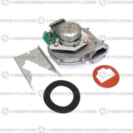 Glowworm Fan A000037255