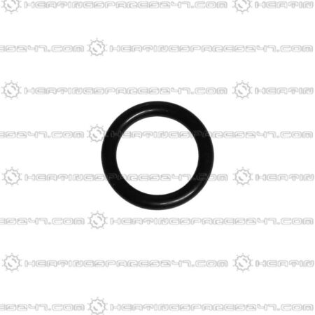 Glowworm O-Ring 0020014678