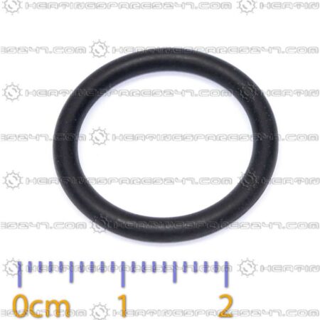 Glowworm O-Ring 2000802532