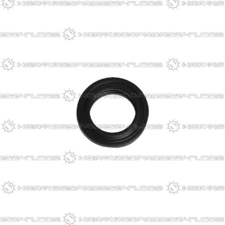 Glowworm O-Ring (single) 0020014166