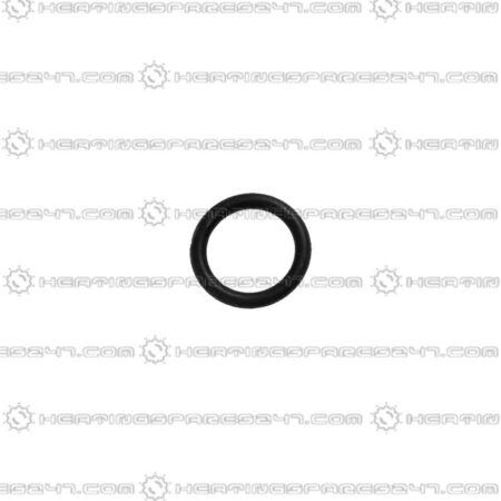 Glowworm O- Ring (single) 0020038089