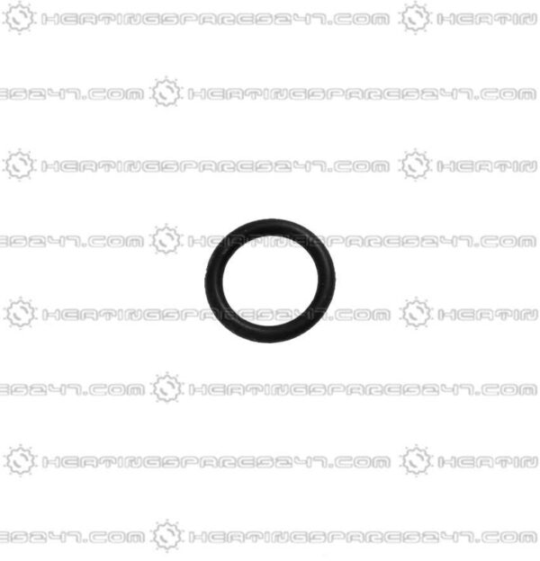 Glowworm O- Ring (single) 0020038089