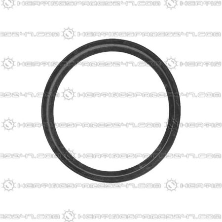 Glowworm Packing Ring EPDM (DN 60) 0020020504