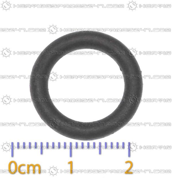 Heatline O-Ring (single) D003201855