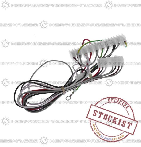 Potterton Cable Assembly-Customer Conn 21/18973
