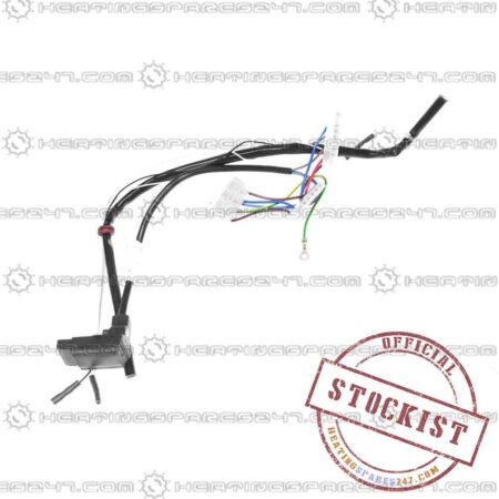 Potterton Harness Wiring Valve 7671997