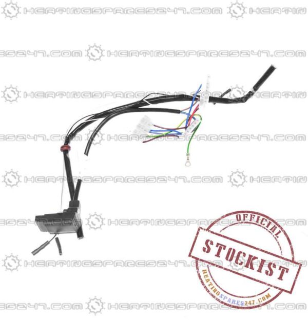 Potterton Harness Wiring Valve 7671997