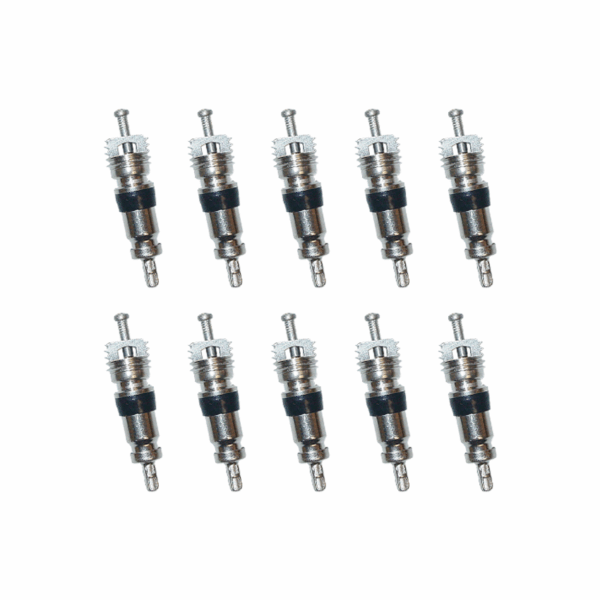 Regin Schrader Valve Cores REGK33