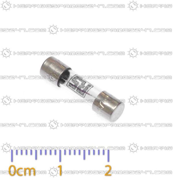 Vaillant Fuse 125MA 251953
