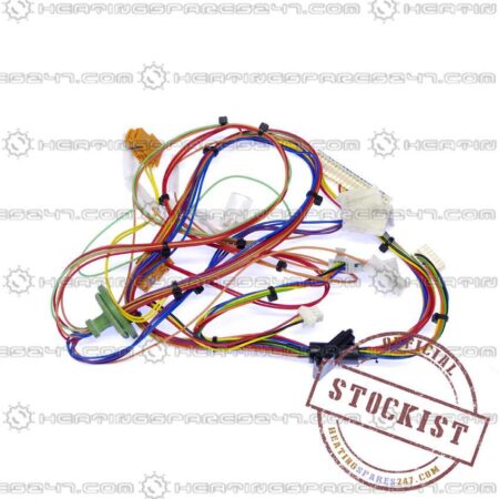Worcester Harness Main MK1 87161126100