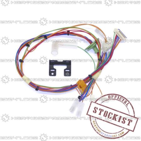 Worcester Main Harness 87161066990