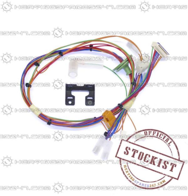 Worcester Main Harness 87161066990