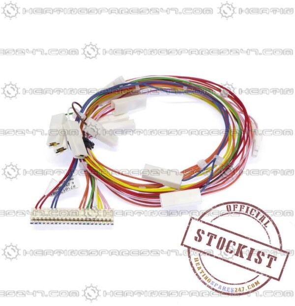 Worcester Main Harness 87161209810