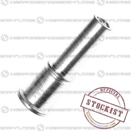 Worcester (Pilot) Injector 87161563000