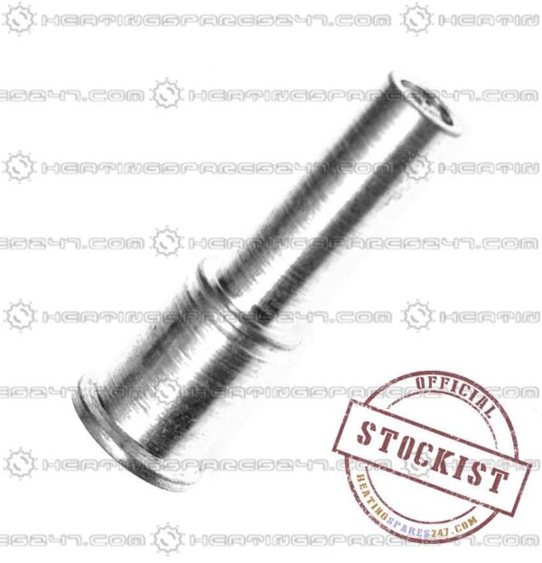 Worcester (Pilot) Injector 87161563000