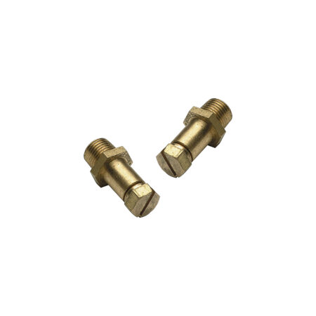 Regin Brass Pressure Test Nipple REGQ160
